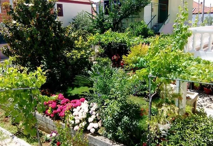 Matovina Διαμέρισμα *