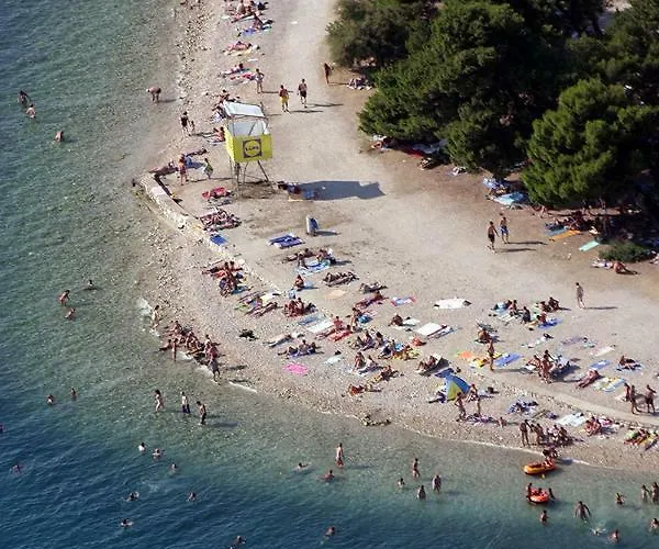 Matovina * Ζαντάρ