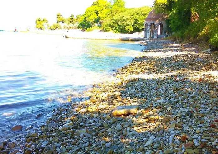 Matovina
